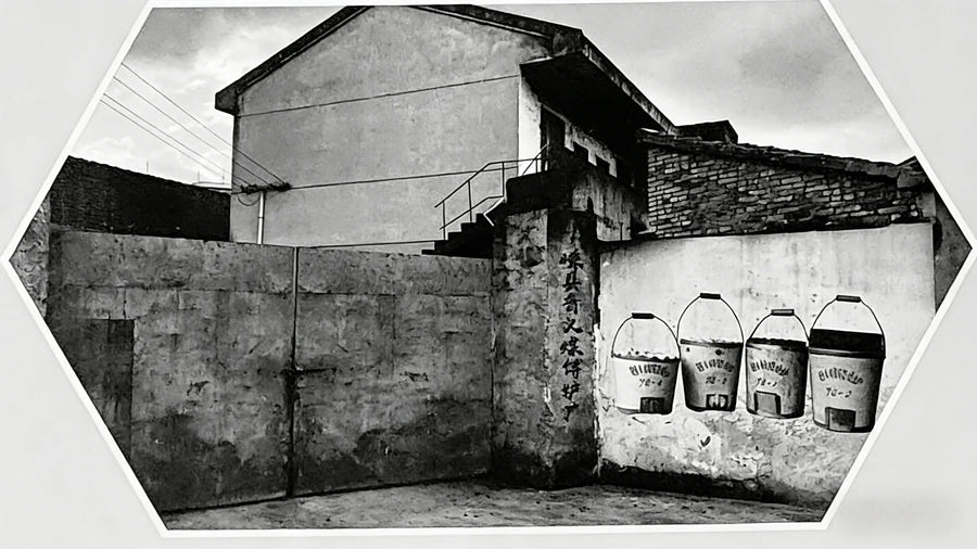 1979