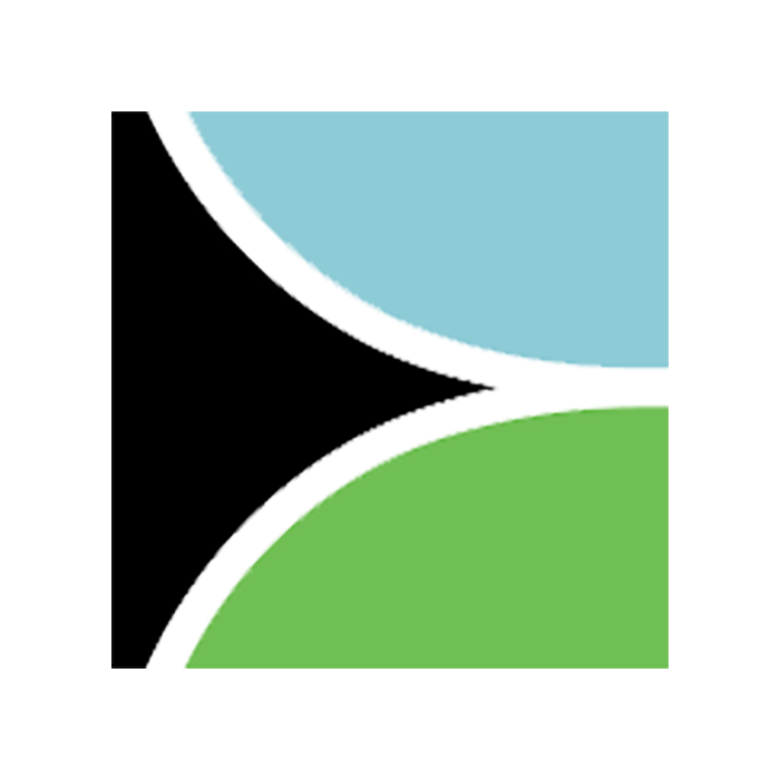 Bridge Carbon logo